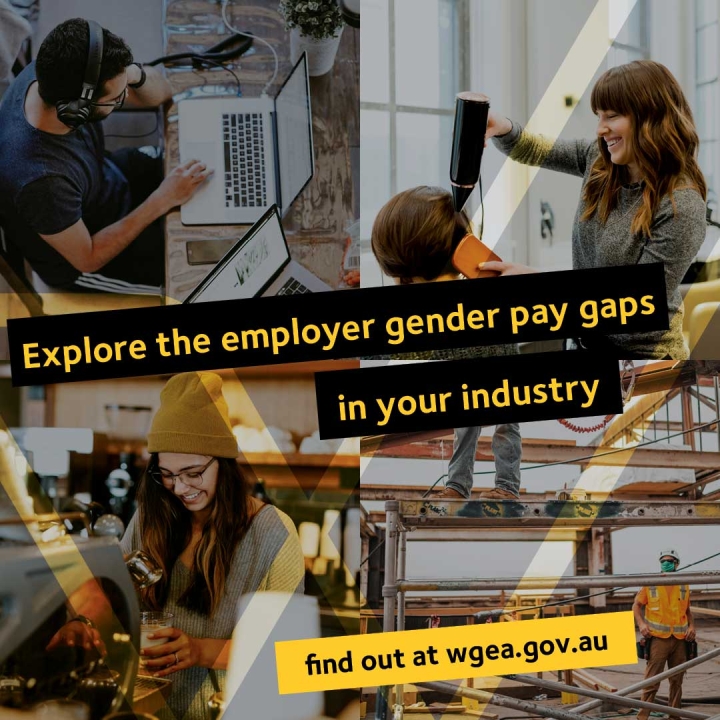 WGEA Explore the employer gender pay gaps size