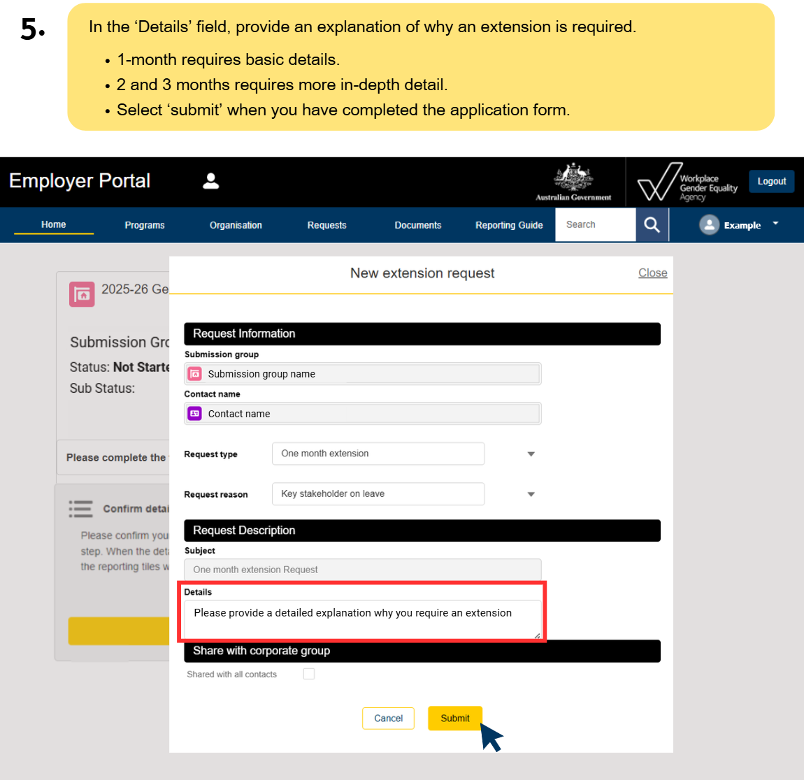 step 5 provide details of extension reason