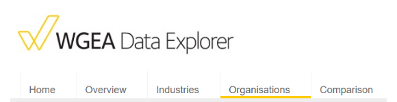 data explorer