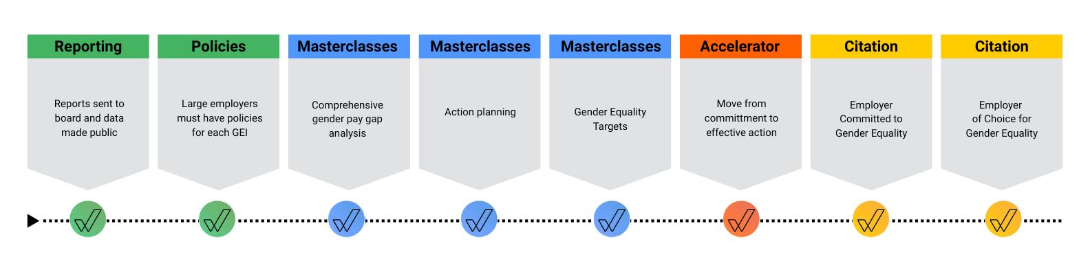 Pathway to Workplace Gender Equality Citation reporting, policies, masterclasses, accelerator, citation
