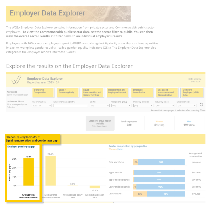 The image shows WGEA's Data Explorer webpage for an individual employer, with a yellow box highlighting the average total remuneration gender pay gap.