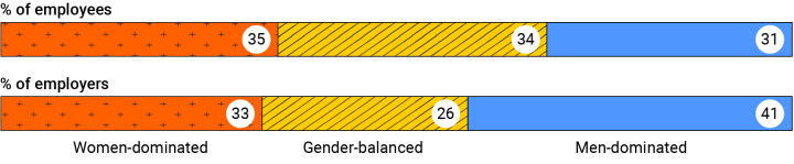 The graphic shows 31% of employees are in men-dominated industries, 34% are in gender-balanced industries and 35% are in women-dominated industries.