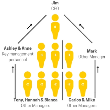 Reporting levels to the CEO