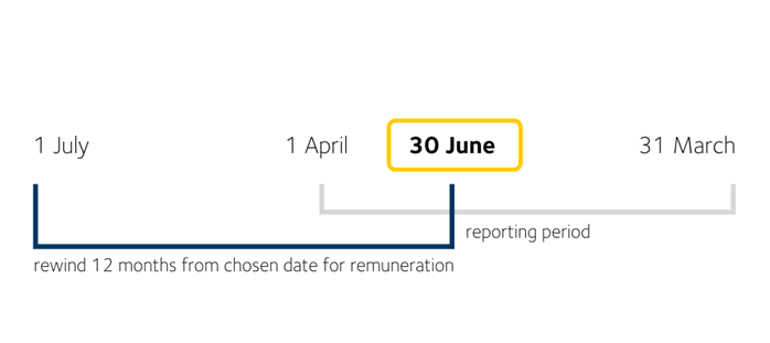 The reporting period is a line from April 1 to March 31 of the following year, the snapshot is one day and the remuneration information provided is the 12 months to the snapshot day