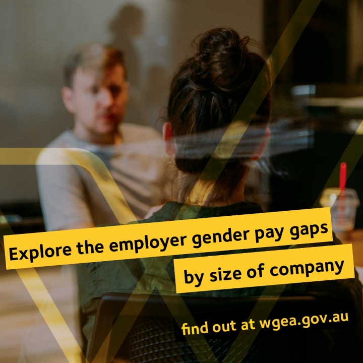 WGEA Explore the employer gender pay gaps by size