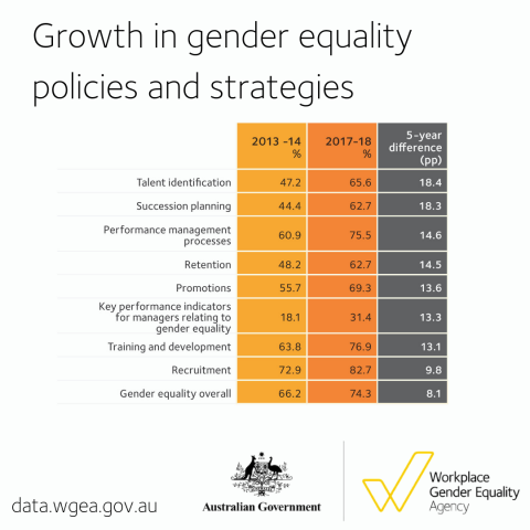 Five year data - gender equality strategies and policies